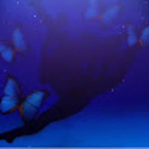 Meet your Posher, Daniella